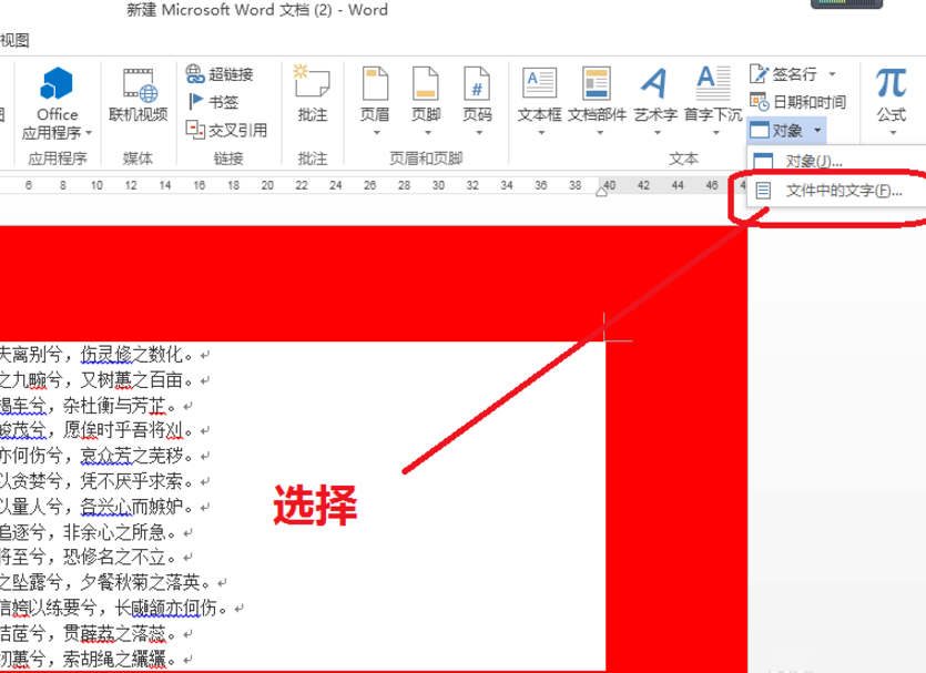 word文档