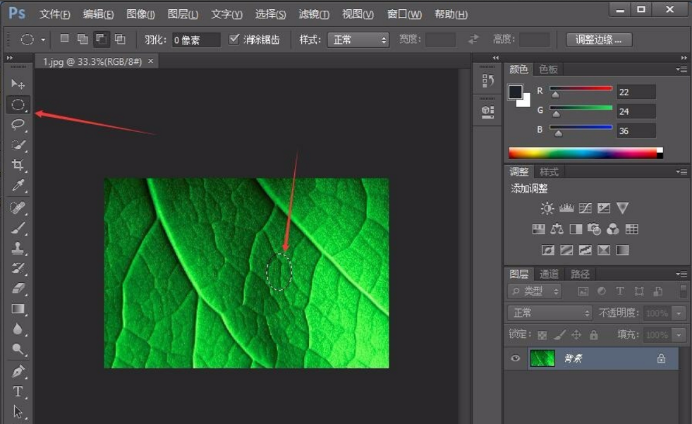 树叶加水滴效果