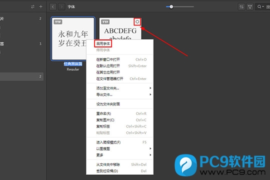 Eagle 启用字体