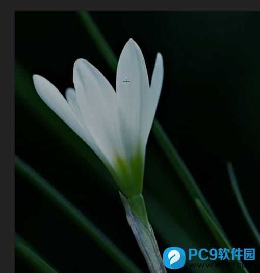 曝光度不足的图片