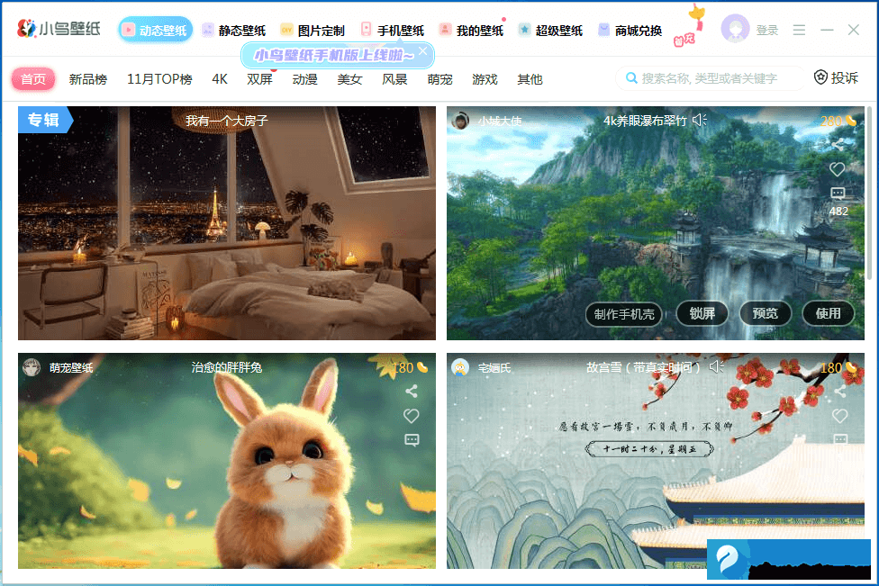 小鸟壁纸