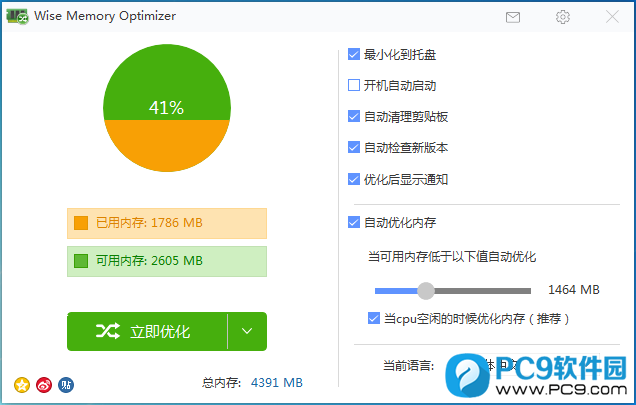 Wise Memory Optimizer