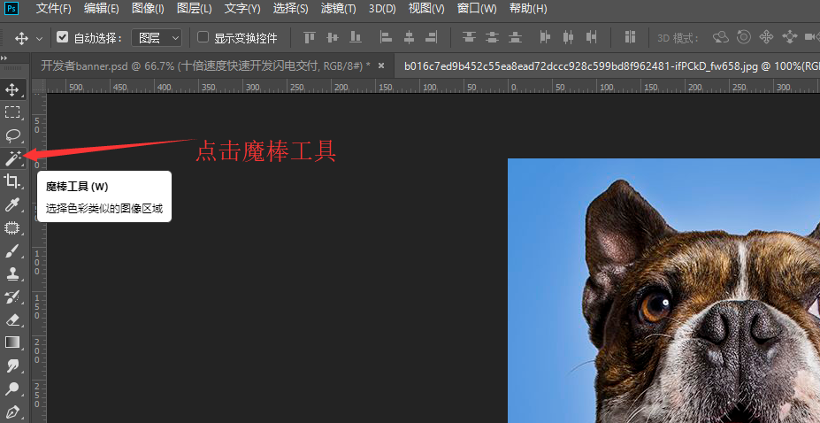 PS实用技巧：用魔棒工具抠图